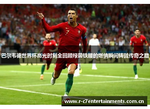 巴尔韦德世界杯高光时刻全回顾绿茵铁腰的燃情瞬间铸就传奇之路